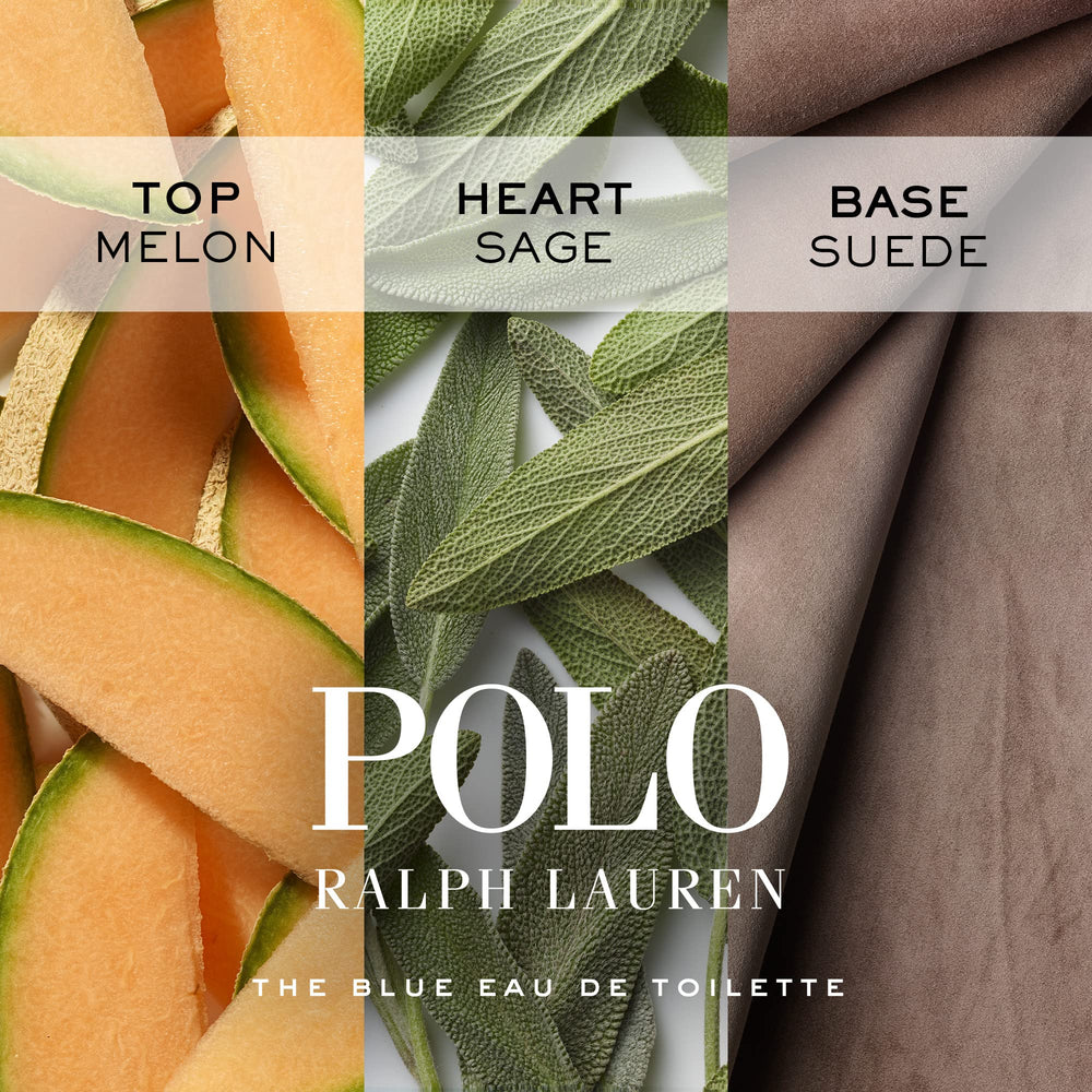 Presentación elegante Polo Blue para hombre, ideal para viaje
