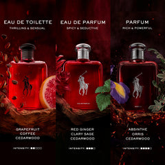 Ralph Lauren Polo Red, enfoque en cedro para una base amaderada