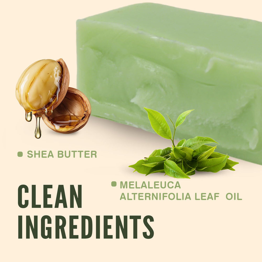 Espuma rica al lavar el rostro con Jabón Rinse & Robust de árbol de té.