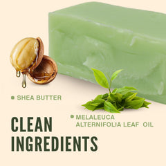 Espuma rica al lavar el rostro con Jabón Rinse & Robust de árbol de té.