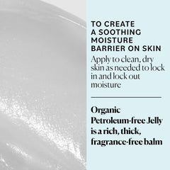 Sky Organics Aplicacion-labios suaviza labios resecos con aceites nutritivos