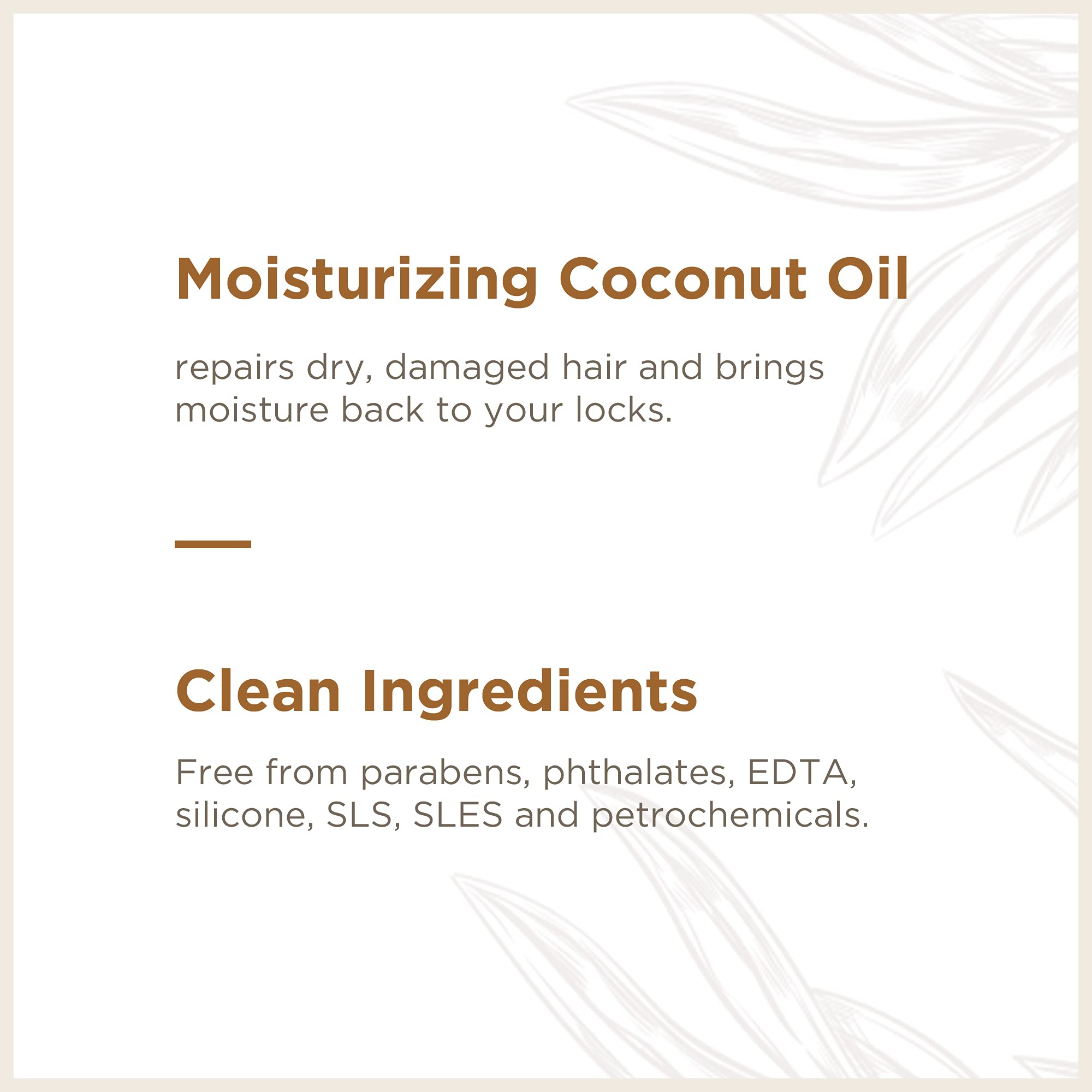 Soapbox shampooing coco sans sulfates, formule douce pour tous types de cheveux