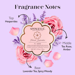 SPONGELLÉ Daisy Spongette French Lavender, aroma calmante para ducha diaria.