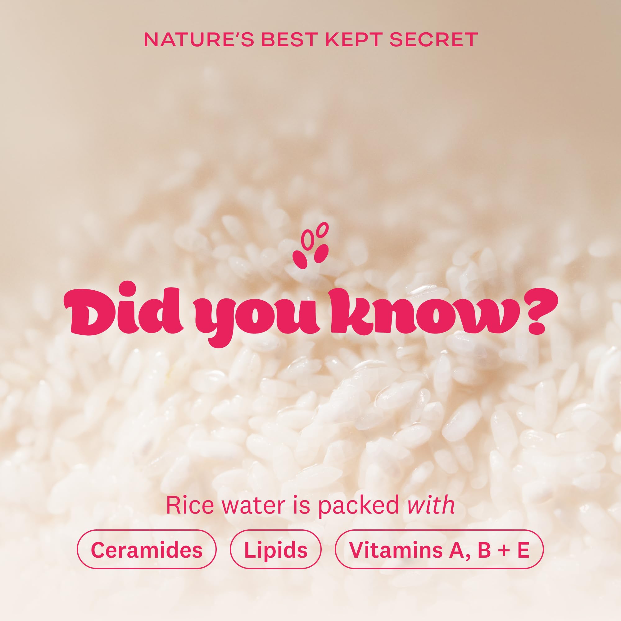The Face Shop Rice Water Bright Duo: doble limpieza que ayuda a mantener la piel hidratada.