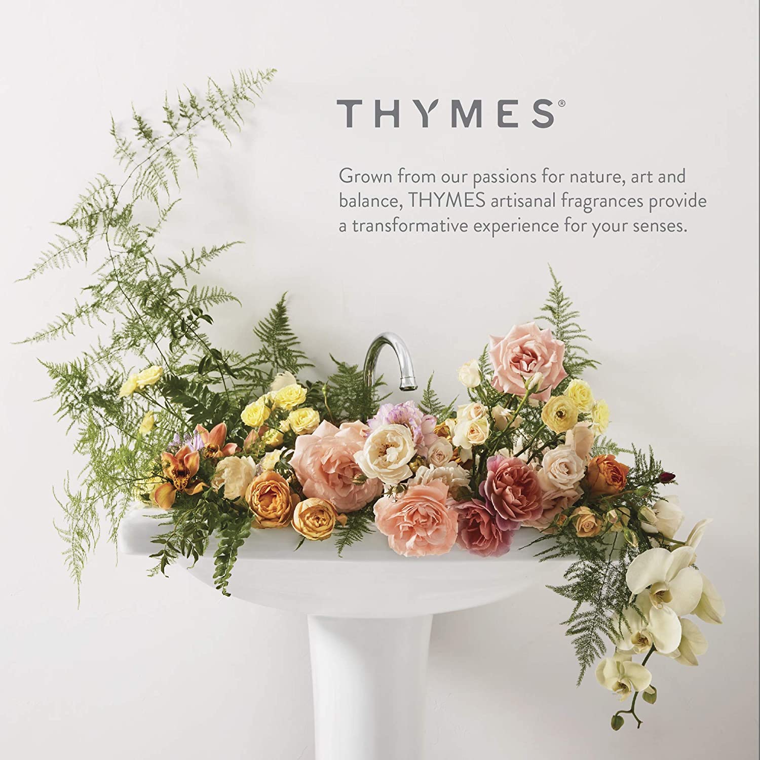 Presentacion de 444 ml de Thymes Jabon Manos Mandarina y Cilantro.