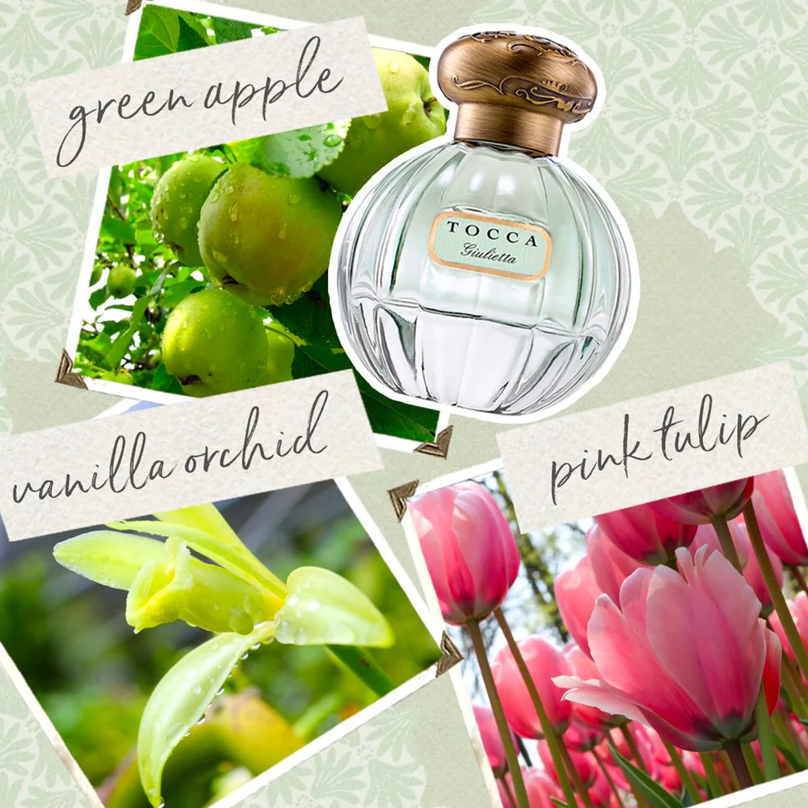 Tocca Giulietta note illustration showing elegant branding and perfume notes.