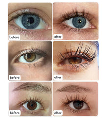 Toplash XL application quotidienne facile pour renforcer cils et sourcils.