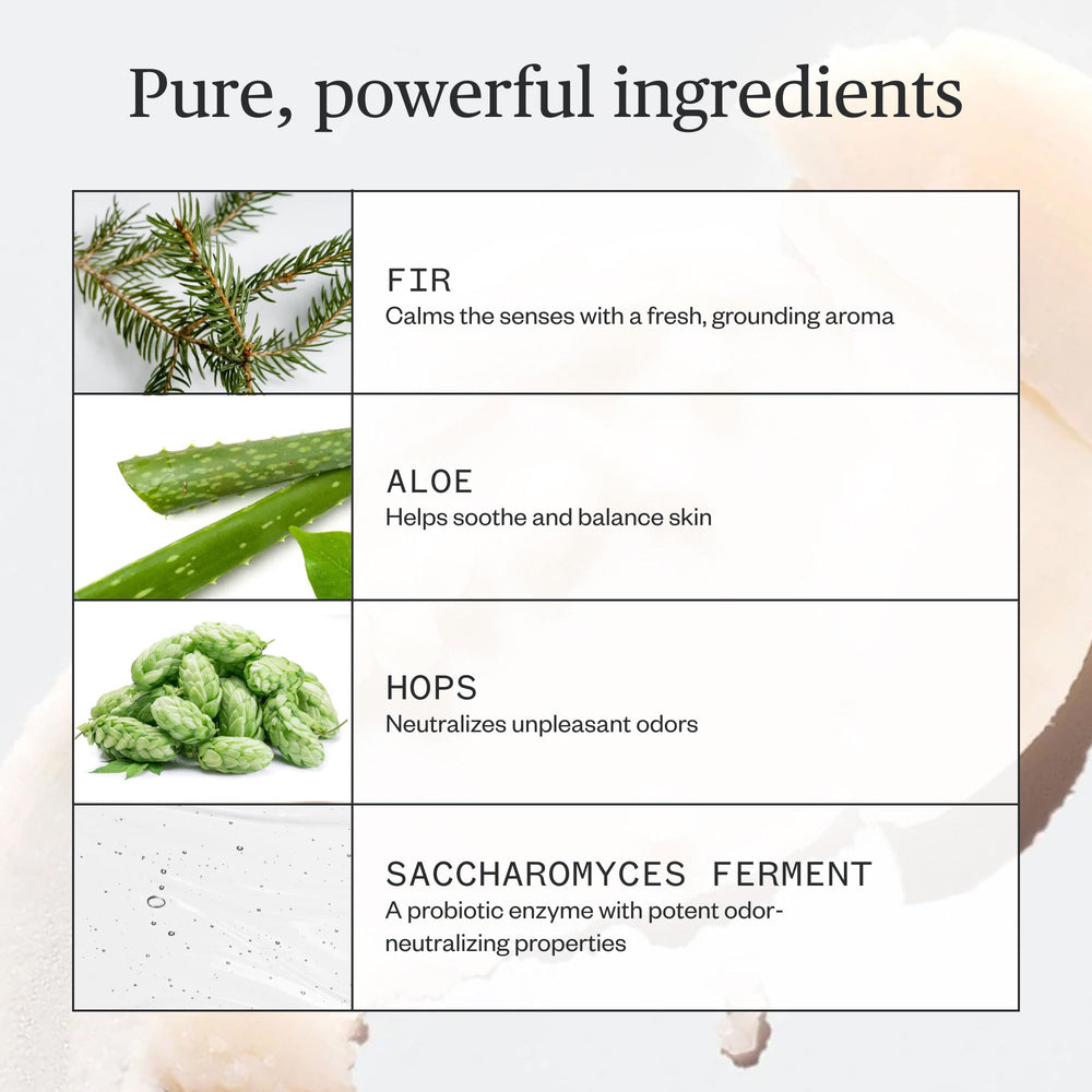 Ursa Major desodorante: ingredientes naturales para cuidado de la piel.