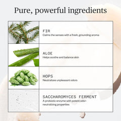 Ursa Major desodorante: ingredientes naturales para cuidado de la piel.