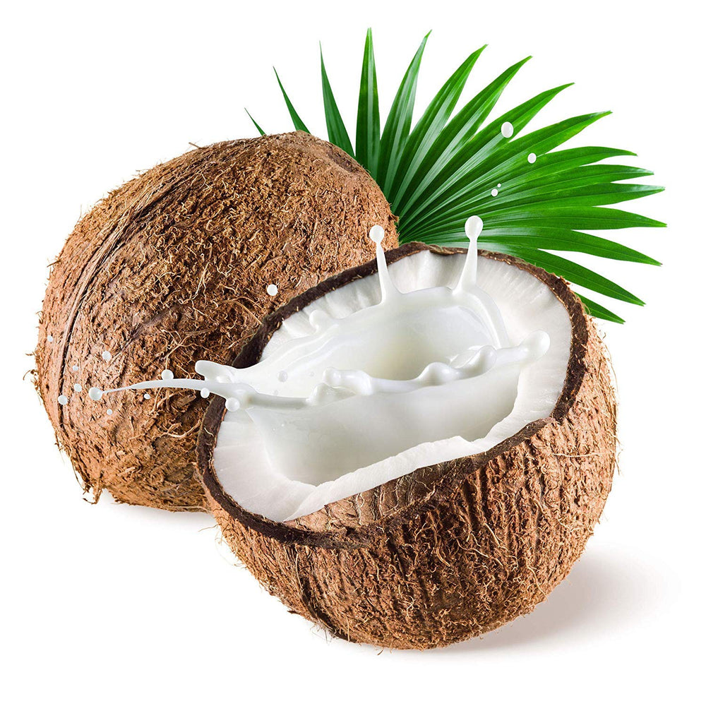 US Organic Aceite MCT fraccionado: cuidado capilar con suavidad y brillo.