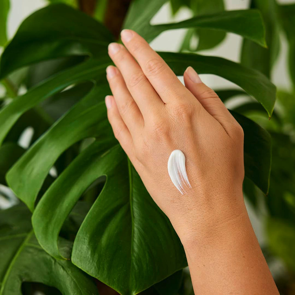 Ingredientes naturales de Weleda para el cuidado de la piel.