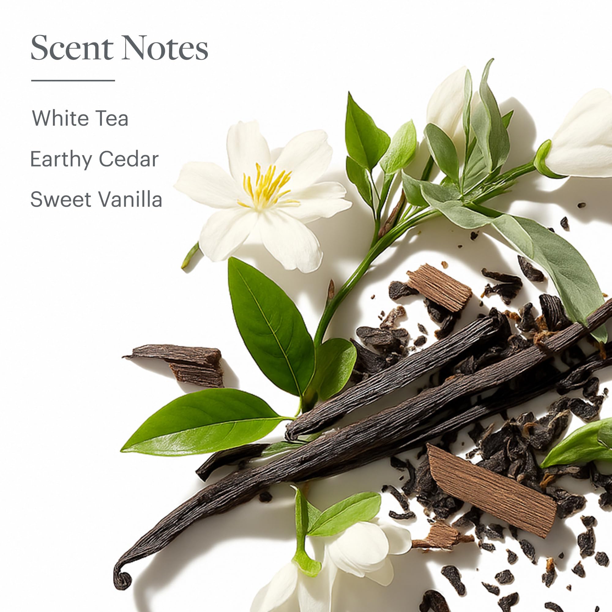 Hand applying Westin White Tea Aloe Body Lotion for smooth, non-greasy skin feel